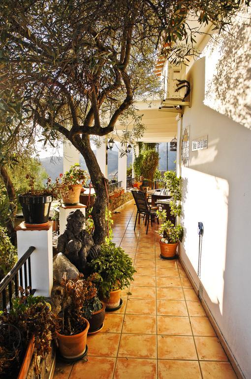 Villa Andalucia Компета Номер фото