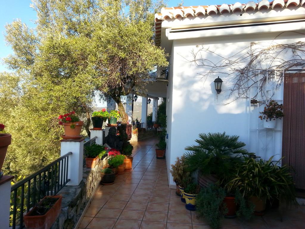 Villa Andalucia Компета Номер фото